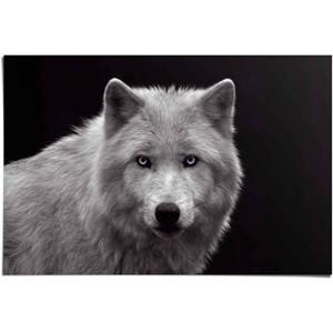 Reinders! Poster Witte wolf