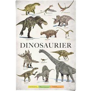 Reinders! Poster Dinosaurus