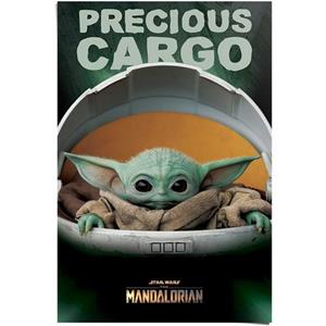 Reinders! Poster The Mandalorian baby Yoda