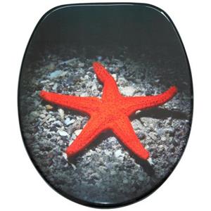 Sanilo Toiletzitting Deep Sea met soft-closemechanisme