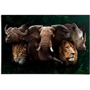 Reinders! Poster The big five