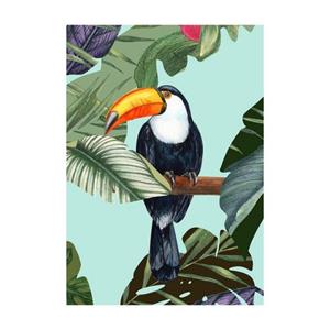 Komar Poster Toco Toucan (1 stuk)