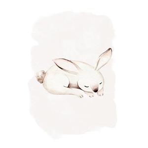 Komar Poster Sleepy Bunny (1 stuk)