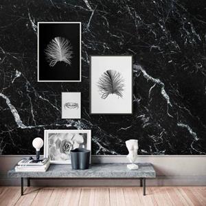 Komar Poster Crab white Hoogte: 50 cm