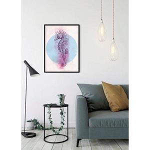 Komar Poster Sea Horse Circle Hoogte: 50 cm
