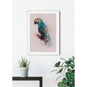 Komar Poster Animals Paradise Parrot Hoogte: 50 cm