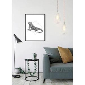 Komar Poster Iguana white Hoogte: 40 cm