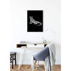 Komar Poster Iguana black Hoogte: 70 cm