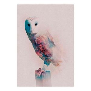 Komar Poster Animals forest Owl Hoogte: 50 cm