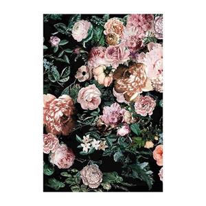 Komar Poster Charming wild Hoogte: 40 cm