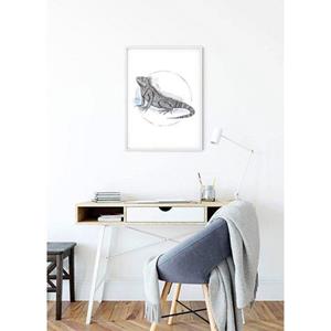 Komar Poster Iguana Watercolor Hoogte: 70 cm