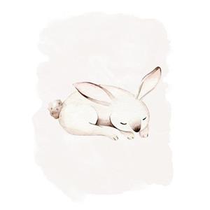 Komar Poster Sleepy Bunny (1 stuk)