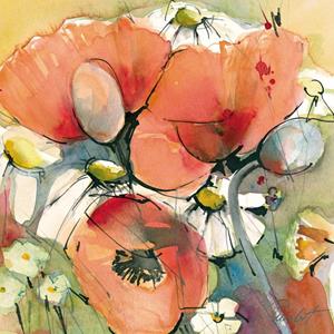 PGM Marta Peuckert - Mohn und Margeriten Kunstdruk 21x21cm