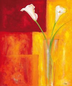 PGM Günter Gohn - Callas auf warmem Rot Kunstdruk 50x60cm