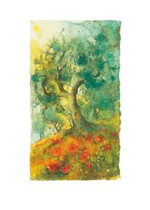PGM Ulrich Hartig - Oliven und Mohn Kunstdruk 50x70cm