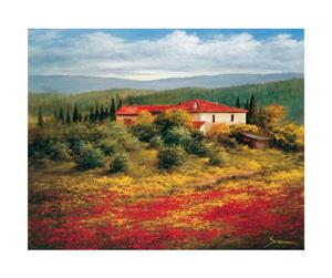 PGM Heinz Schölnhammer - Landschaft mit Mohn II Kunstdruk 60x50cm