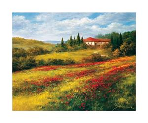 PGM Heinz Schölnhammer - Landschaft mit Mohn I Kunstdruk 60x50cm