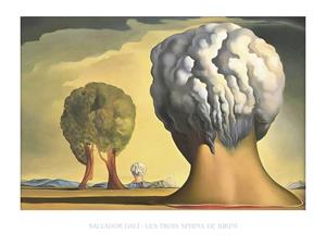 PGM Kunstdruk Salvador Dali Les Trois Sphinx de Bikini 80x60cm