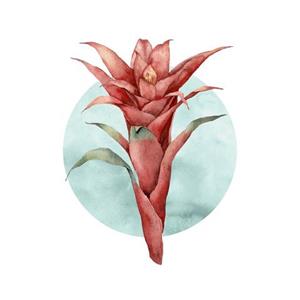 Komar Poster Funky Flower (1 stuk)