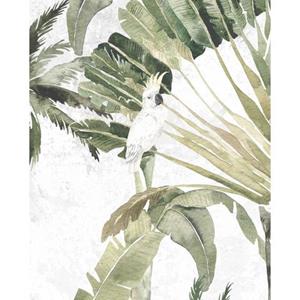 Komar Poster Oiseau Cacadoo (1 stuk)