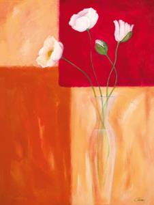 PGM Günter Gohn - Mohn mit Siena-Braun Kunstdruk 60x80cm