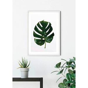 Komar Poster Monstera Leaf Hoogte: 50 cm