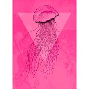 Komar Poster Jellyfish pink Hoogte: 70 cm