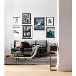 Komar Poster Iguana white Hoogte: 40 cm