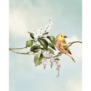 Komar Poster Gazouillis des Oiseaux (1 stuk)