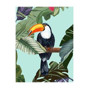 Komar Poster Toco Toucan (1 stuk)
