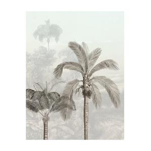 Komar Poster Jungle Panorama (1 stuk)