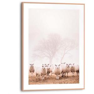 Reinders! Poster Schafe im Nebel