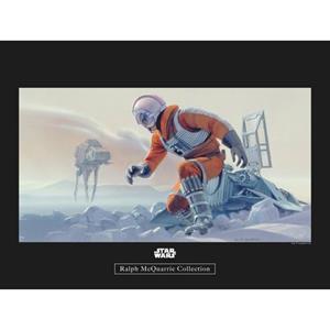 Komar Poster Star Wars Classic RMQ Hoth Battle piloot