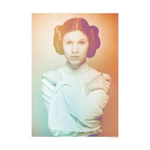 Komar Poster Star Wars Classic iconen Color Leia