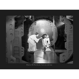 Komar Poster Star Wars Classic Leia R2D2 aandeel
