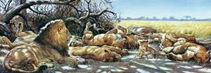 PGM Renato Casaro - After breakfast Kunstdruk 99x34cm