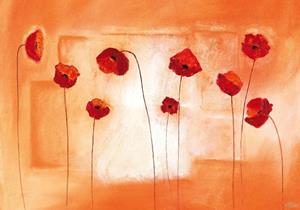 PGM Erika Heinemann - Poppy Meeting Kunstdruk 100x70cm