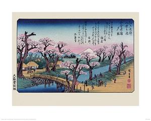 Pyramid Hiroshige Mount Fuji Koganei Bridge Kunstdruk 40x50cm