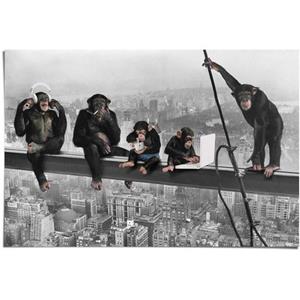 Poster Chimpansee stalen balk