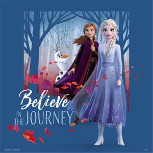 Frozen Believe in the Journey Kunstdruk 30x30cm