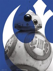 Grupo Erik Star Wars Episode IX BB 8 Kunstdruk 30x40cm