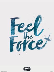 Grupo Erik Star Wars Episode IX Feel The Force Kunstdruk 30x40cm
