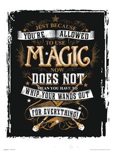 Grupo Erik Harry Potter Magic Kunstdruk 30x40cm