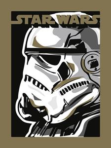 Grupo Erik Star Wars Stormtrooper Kunstdruk 30x40cm