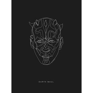 Komar Poster Star Wars Lines dark Side bek