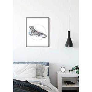 Komar Poster Iguana Watercolor Hoogte: 70 cm