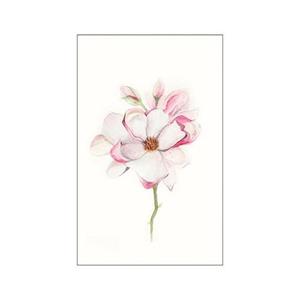Komar Poster Magnolia Blossom Hoogte: 40 cm