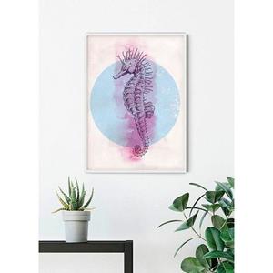 Komar Poster Sea Horse Circle Hoogte: 50 cm