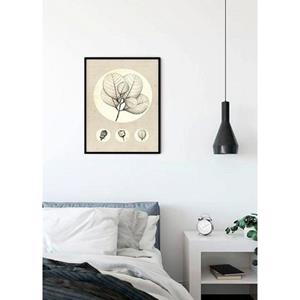 Komar Poster Transparant Leaf Hoogte: 40 cm