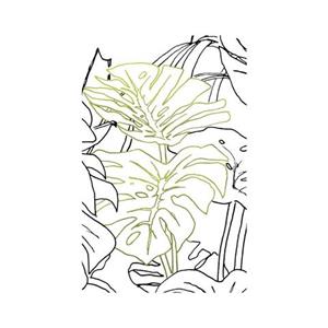 Komar Poster Monstera Borsigiana (1 stuk)